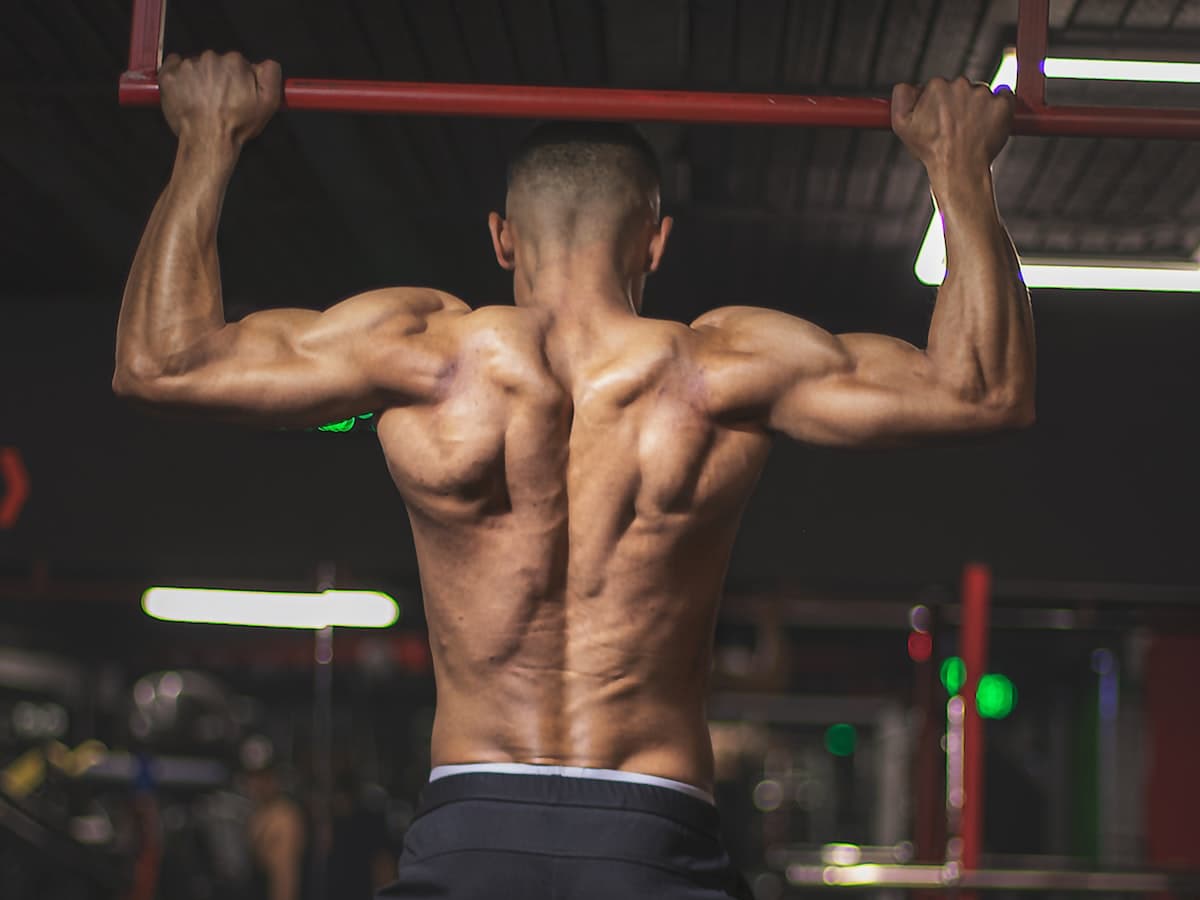 JaxBars calisthenics community in Jacksonville